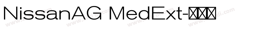 NissanAG MedExt字体转换